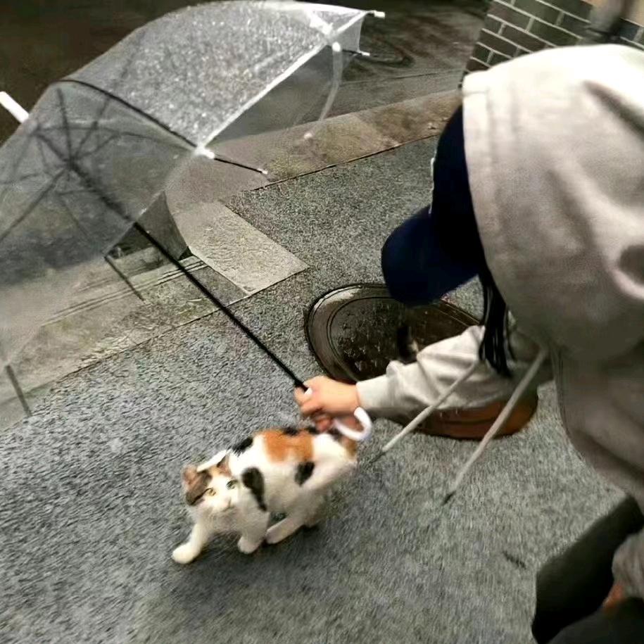 @སྐྱིད་