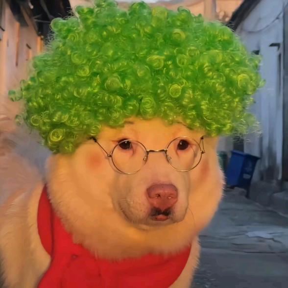 貌美如花的dora