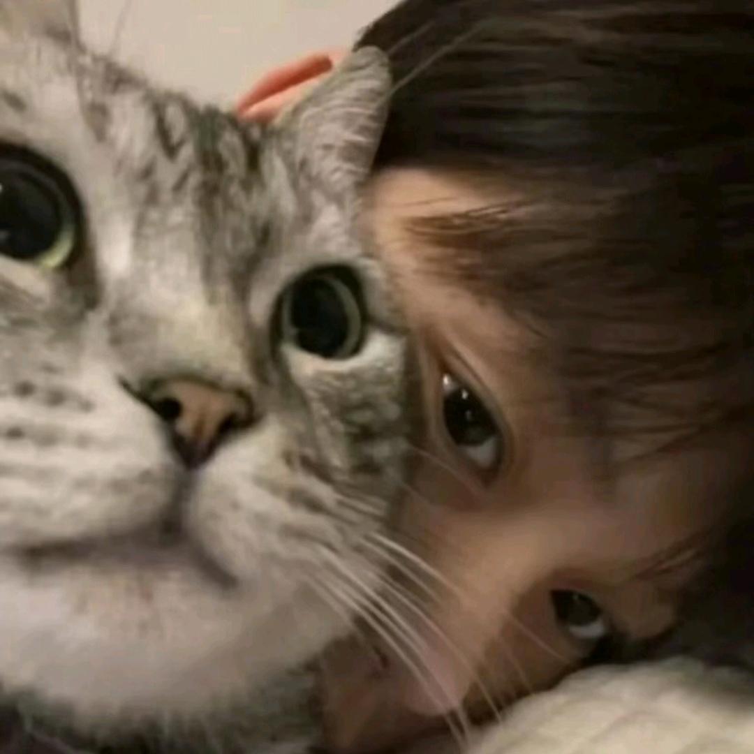 xiao lv