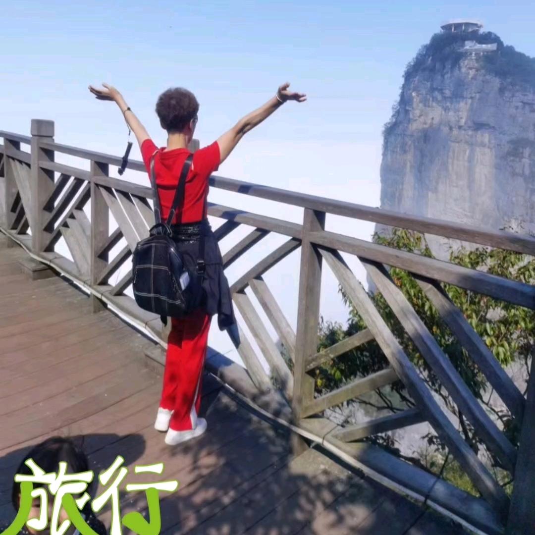 一枝梅
