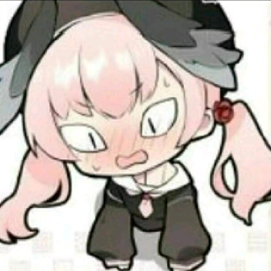 小爽有点乖
