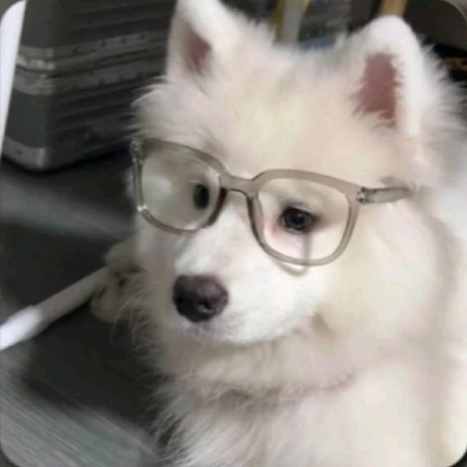 我不是骚包