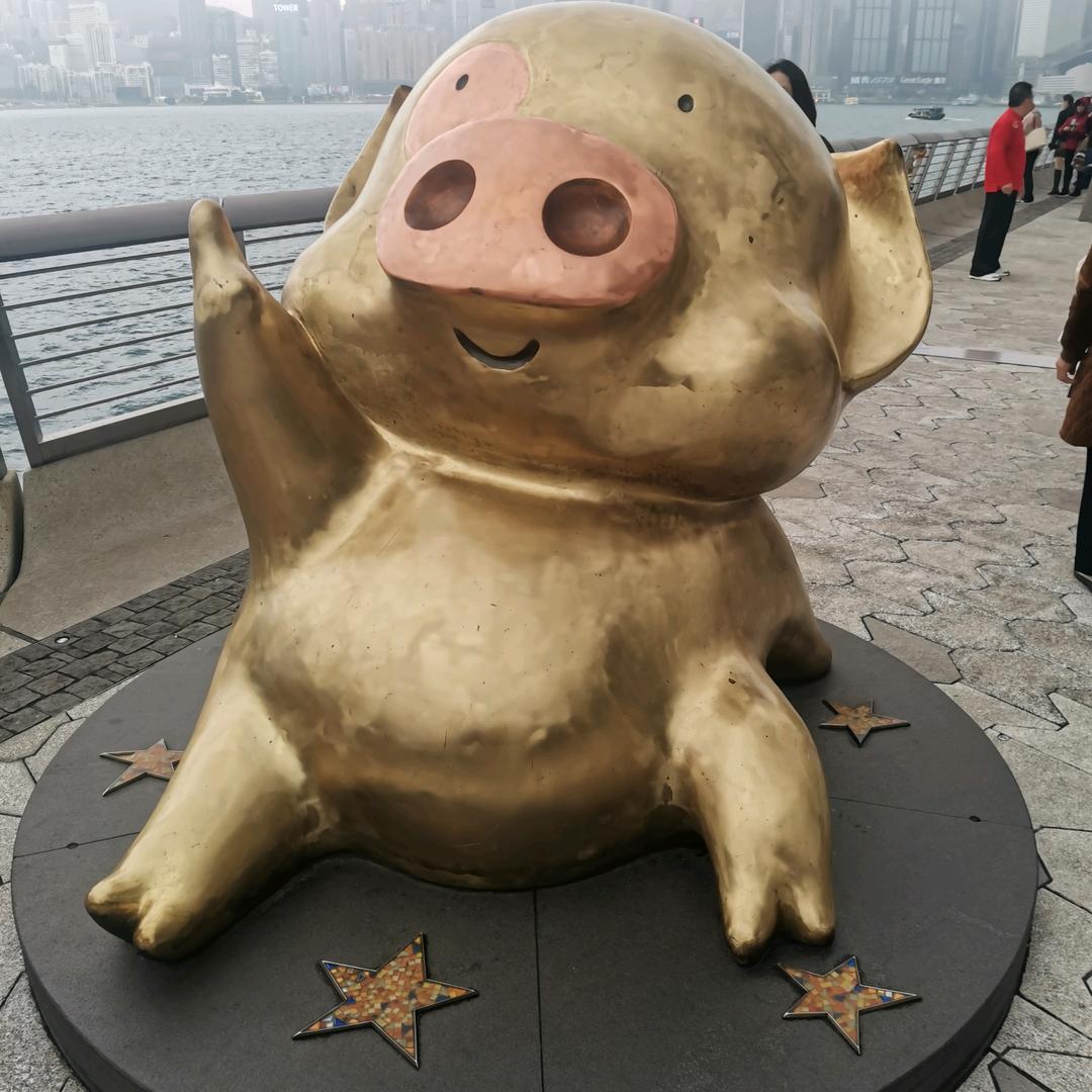 小二闯江湖。