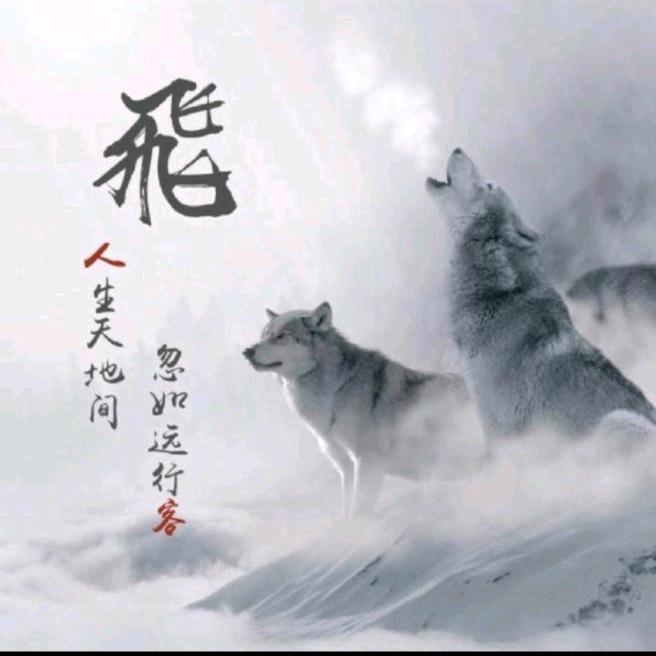 啊飞