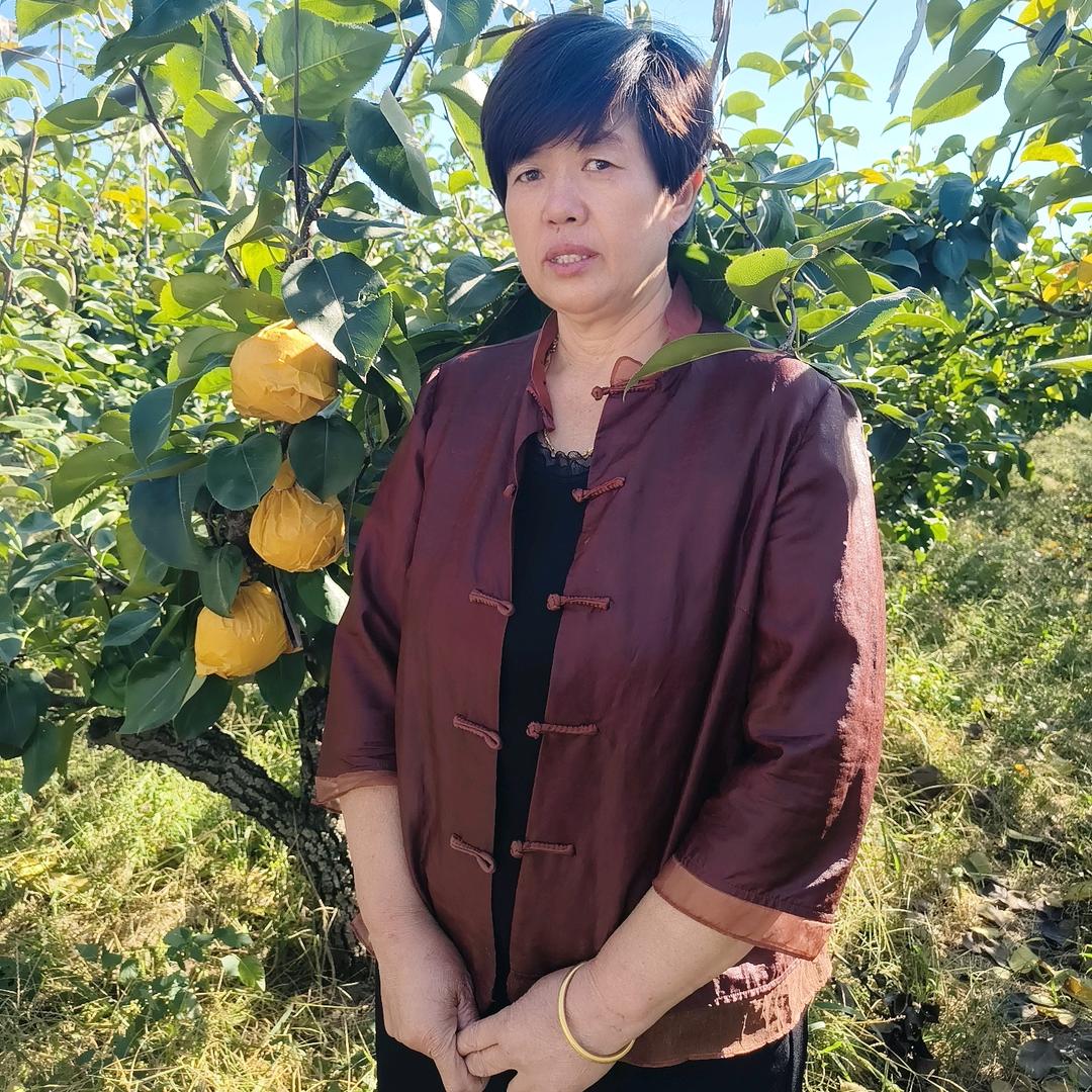 北鲍梨姐