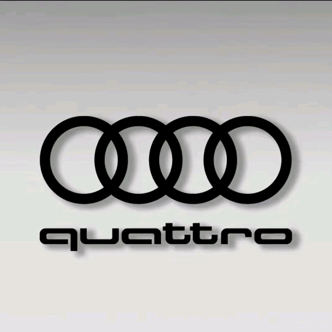 昭通仕伟汇奥迪