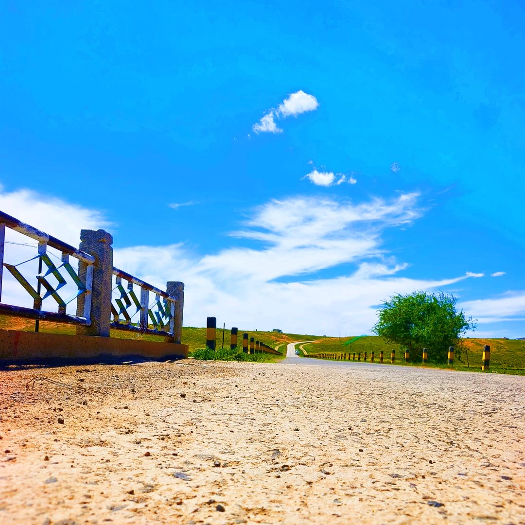 放生（不关注）