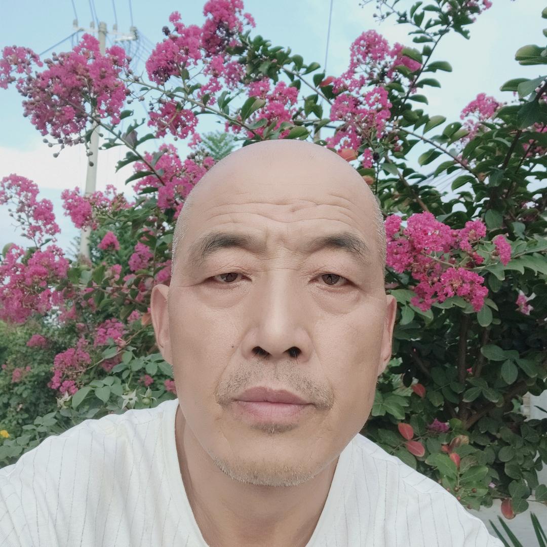 光头哥