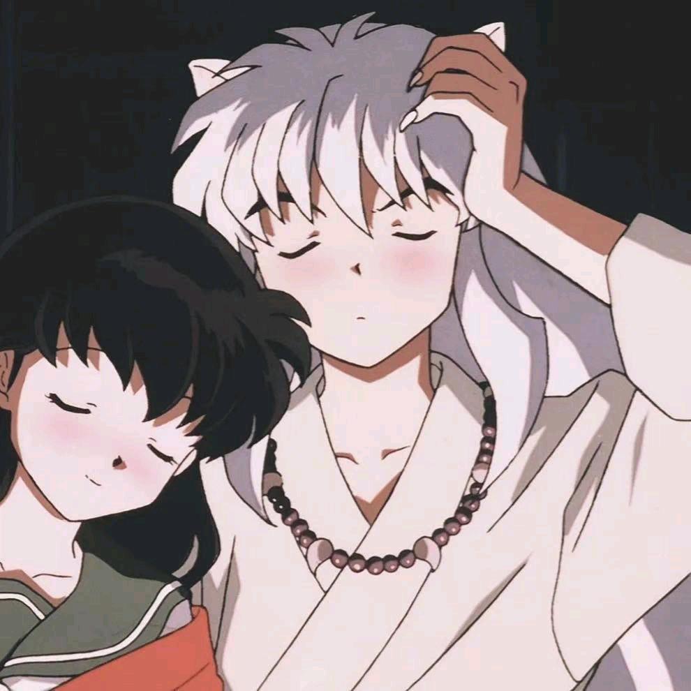 ✨三口一只猪✨