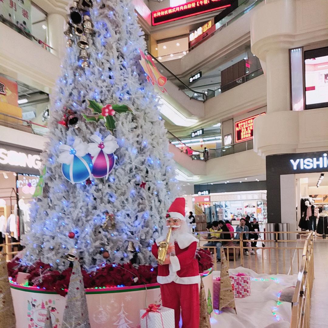 🌻“梦忆晨望”🌻