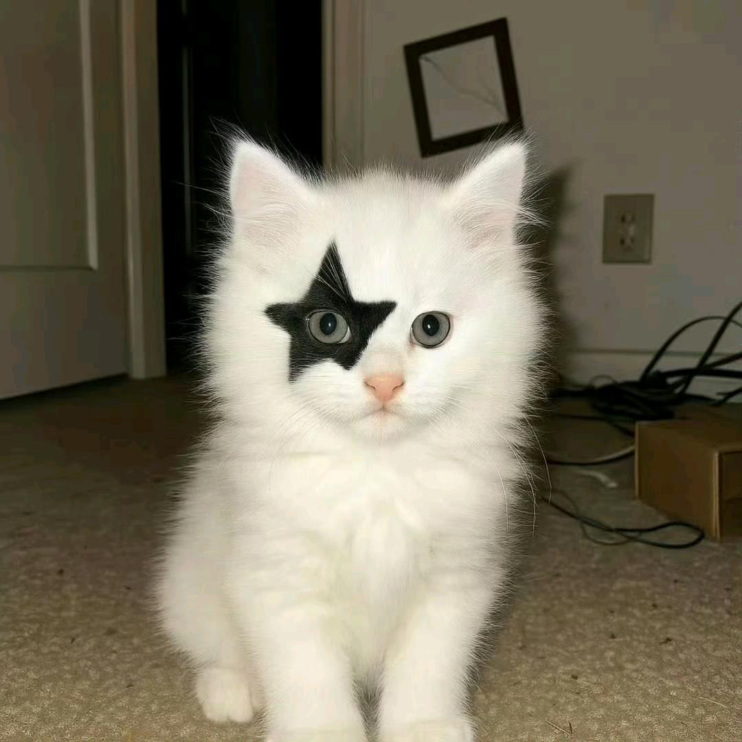 成为风的小少年