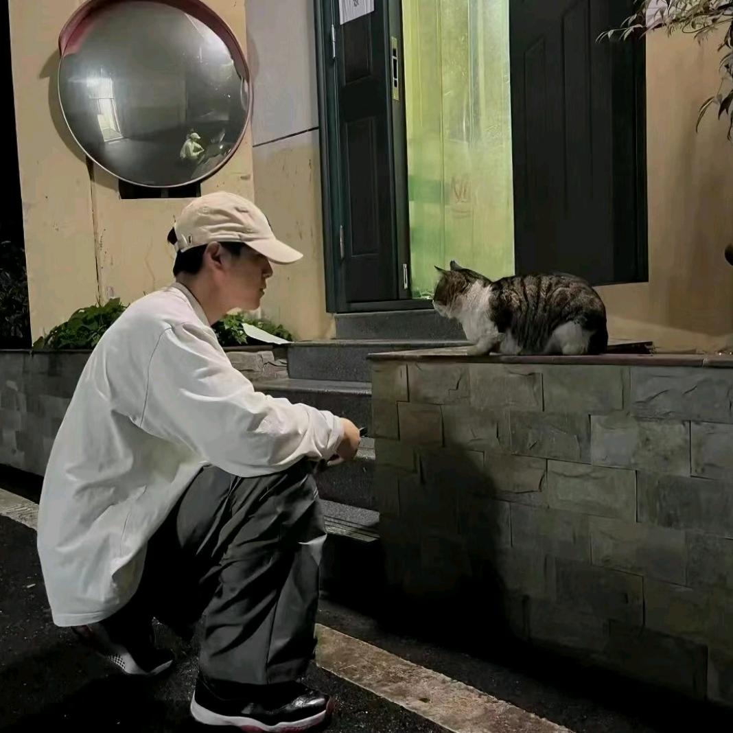 摆摆烂