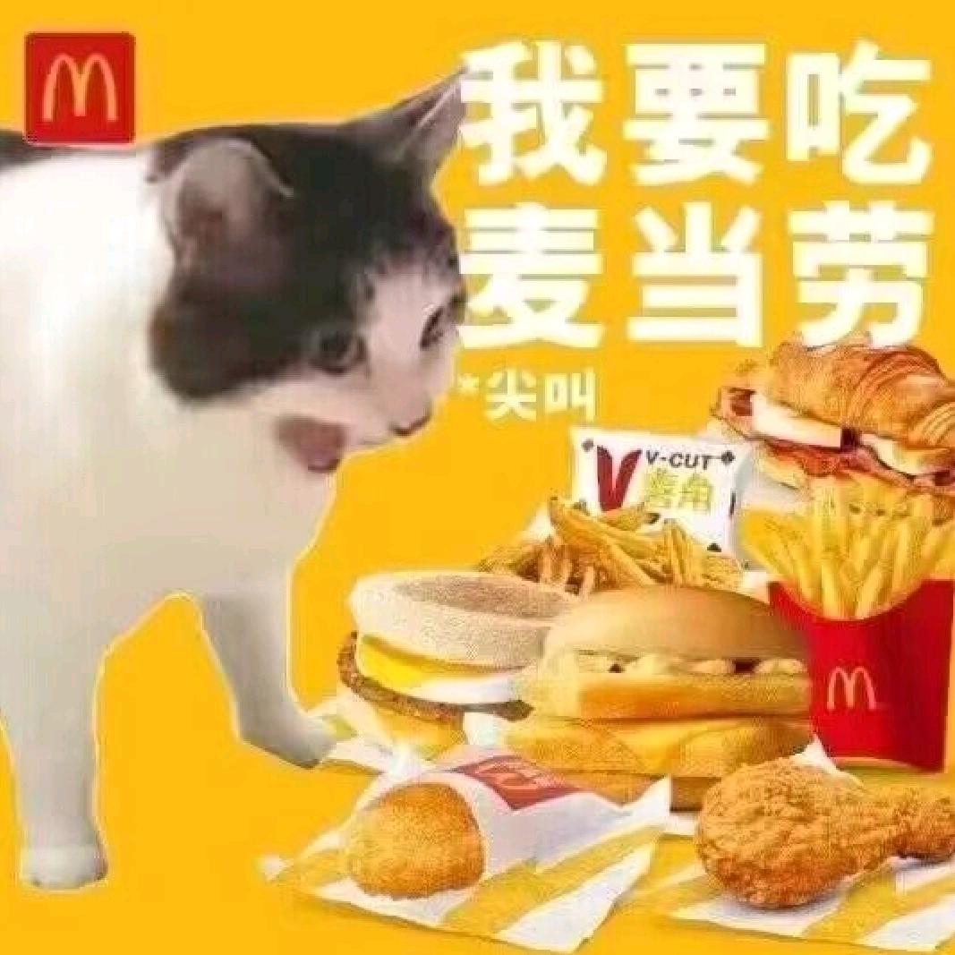 百日萌新在这里