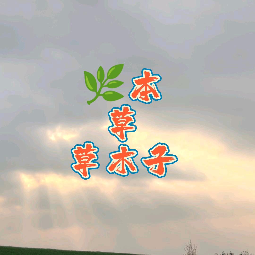 草木子本草