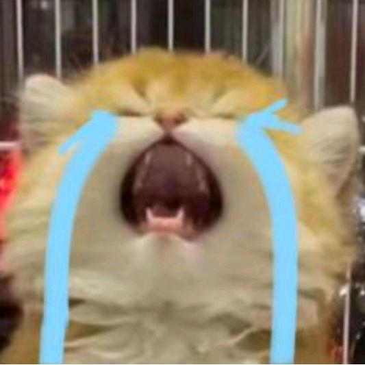 微笑