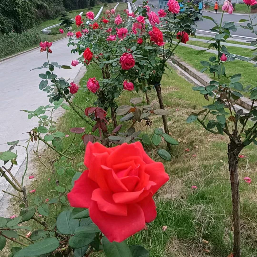 海浪🌊🌊🌊🌊🌊🌊