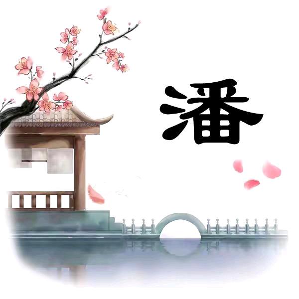 家穷人丑还是农村户口《贵州小黑孩》