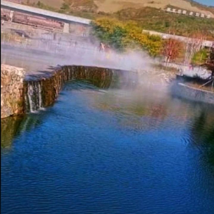 莺歌燕舞