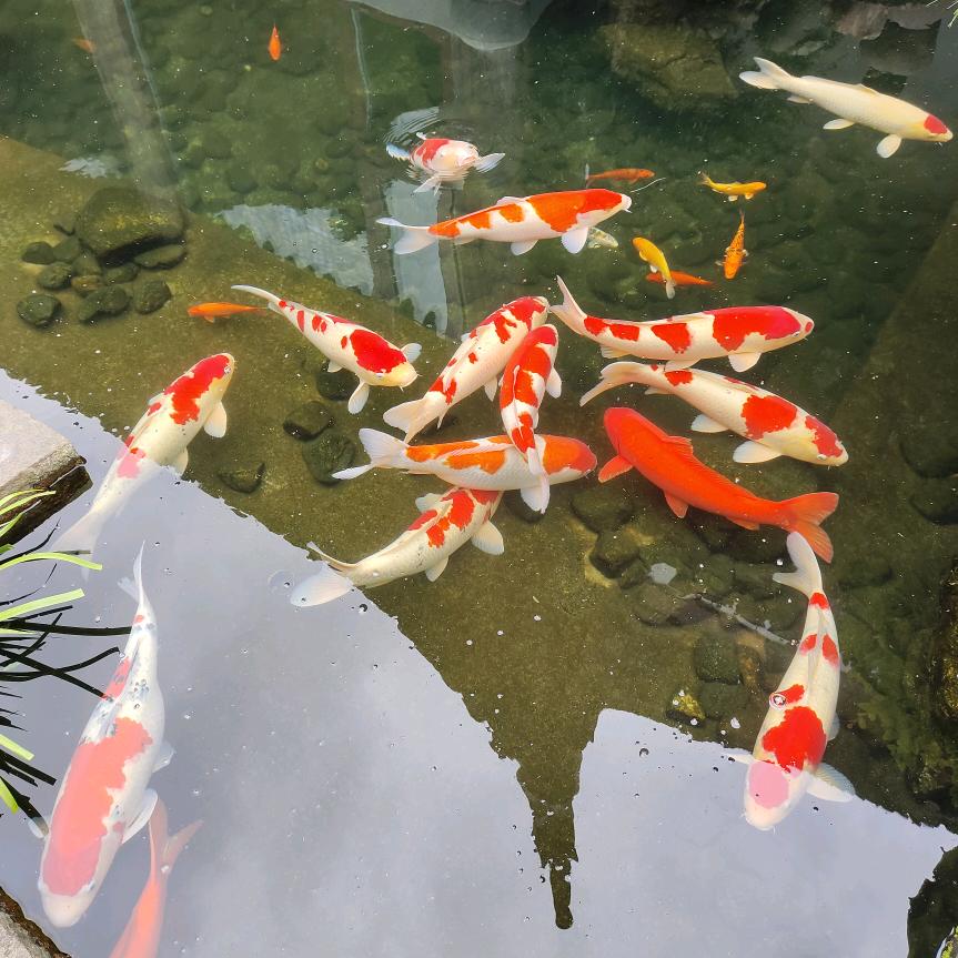 浙江恒瑞石业