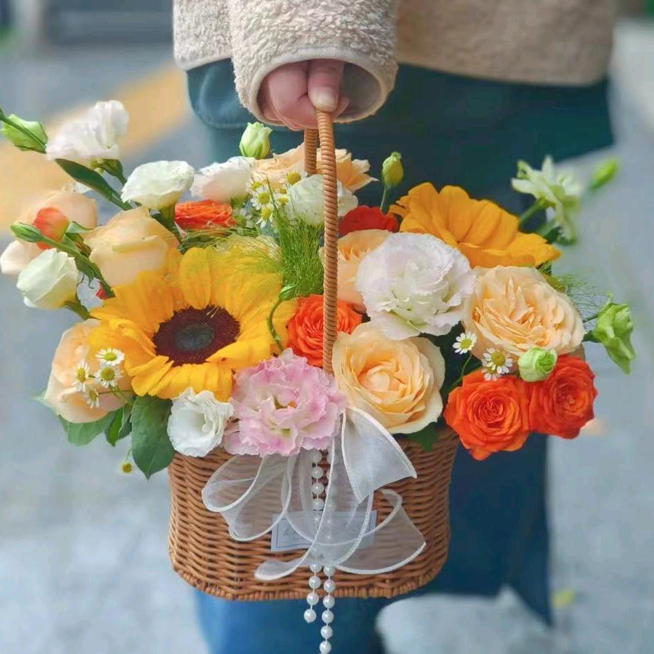 🌞枝昂希钰🌞