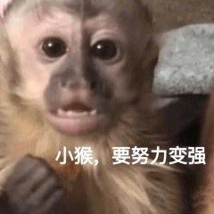 和从前一样