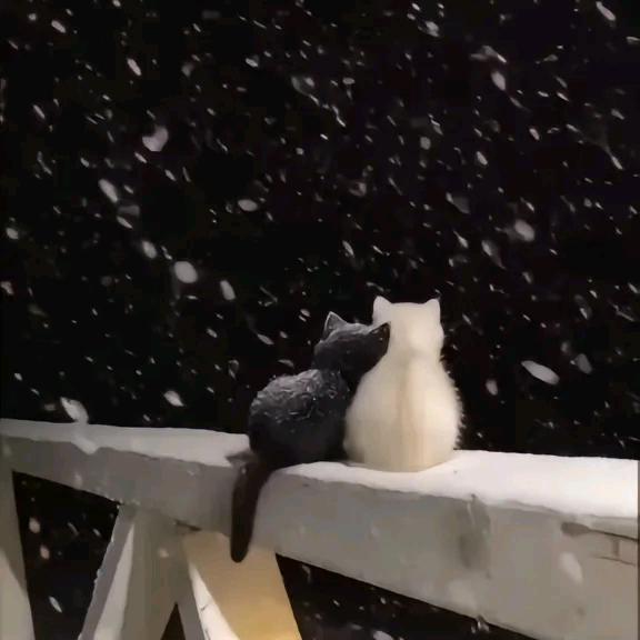 ღᩚ᭄从心の开始🍀ৡᩚ࿐