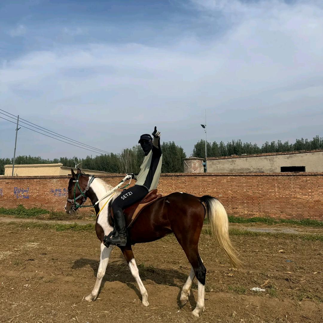 天行健(柠威绿化)