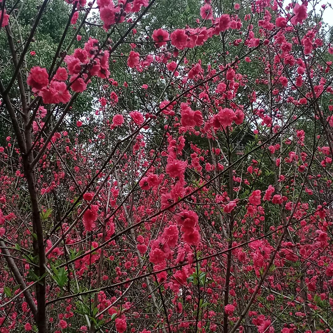 风雨彩虹