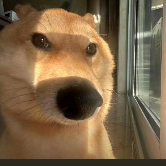 不成倒三角不改名