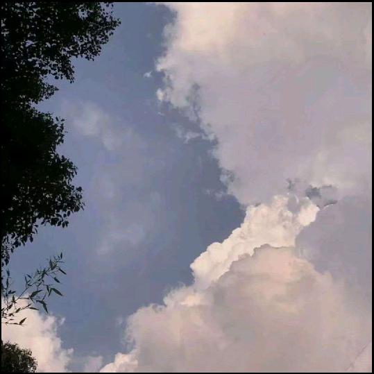 南汇头像