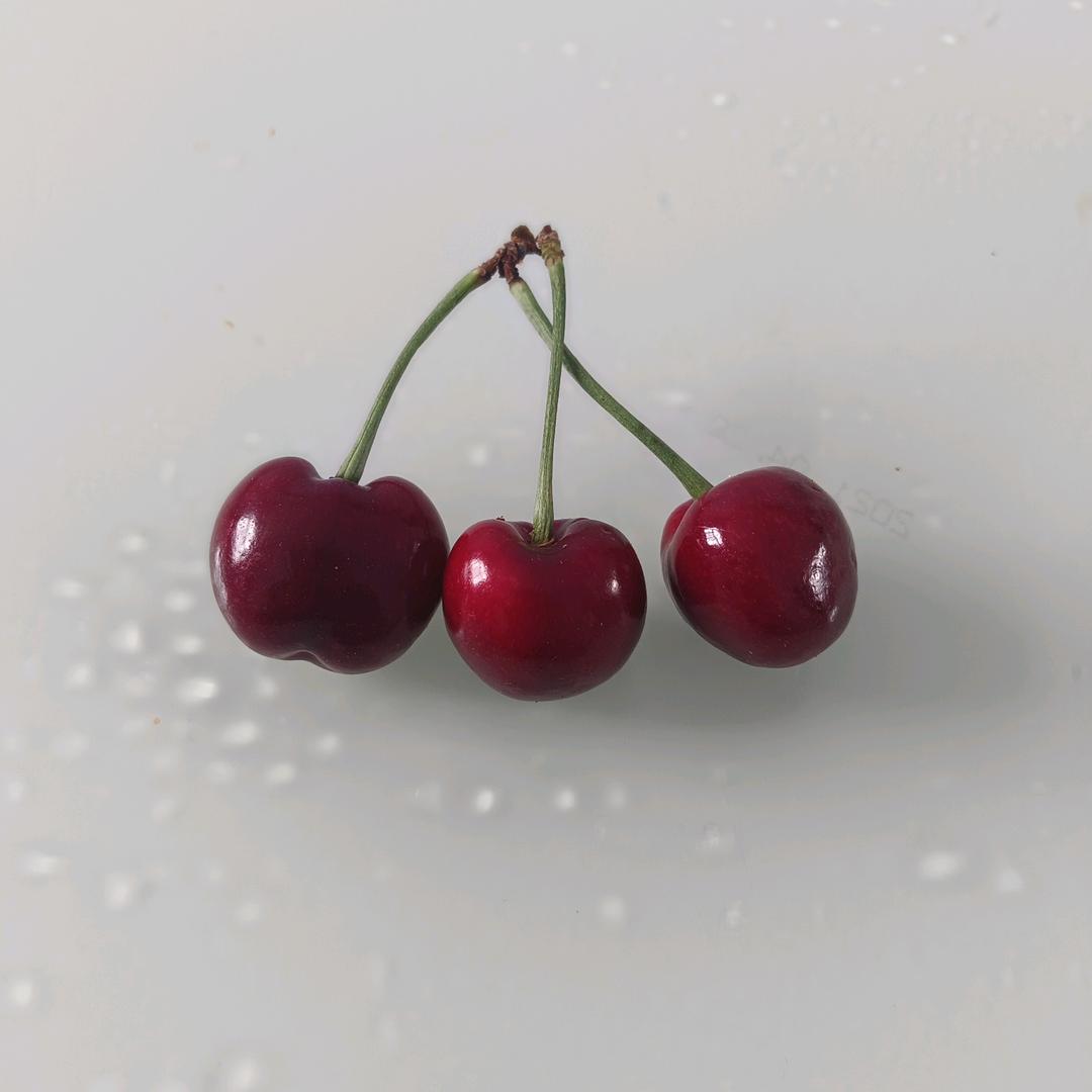 梅兰竹菊🍒