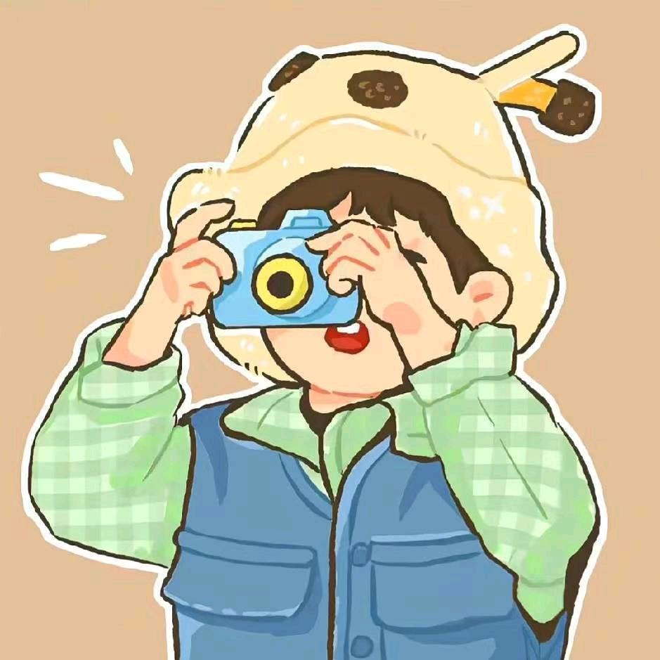 鸽子毛毛