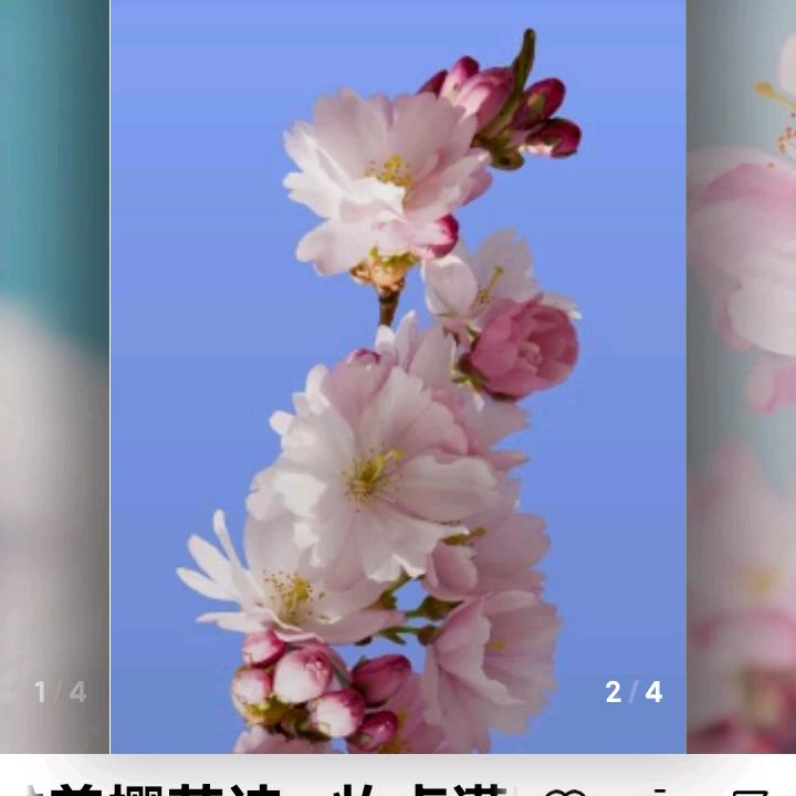 用户4259798910367