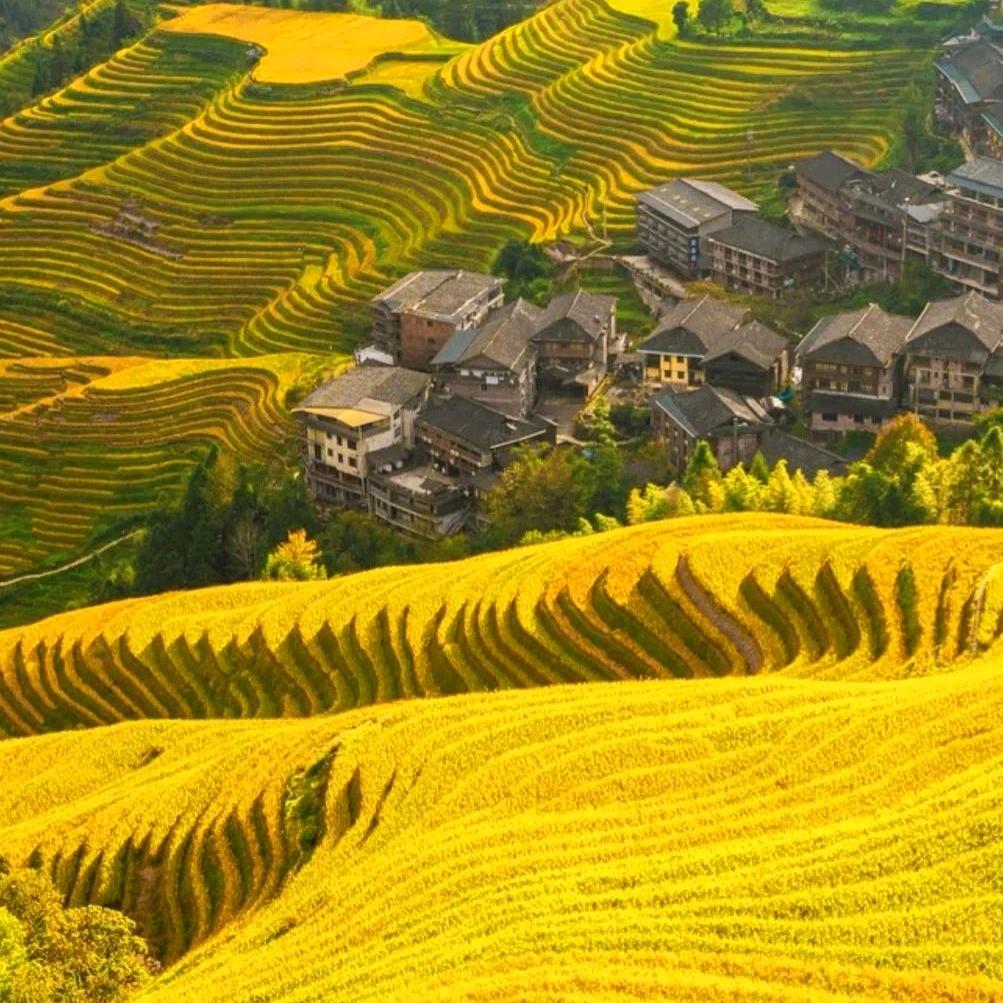 简单而快乐
