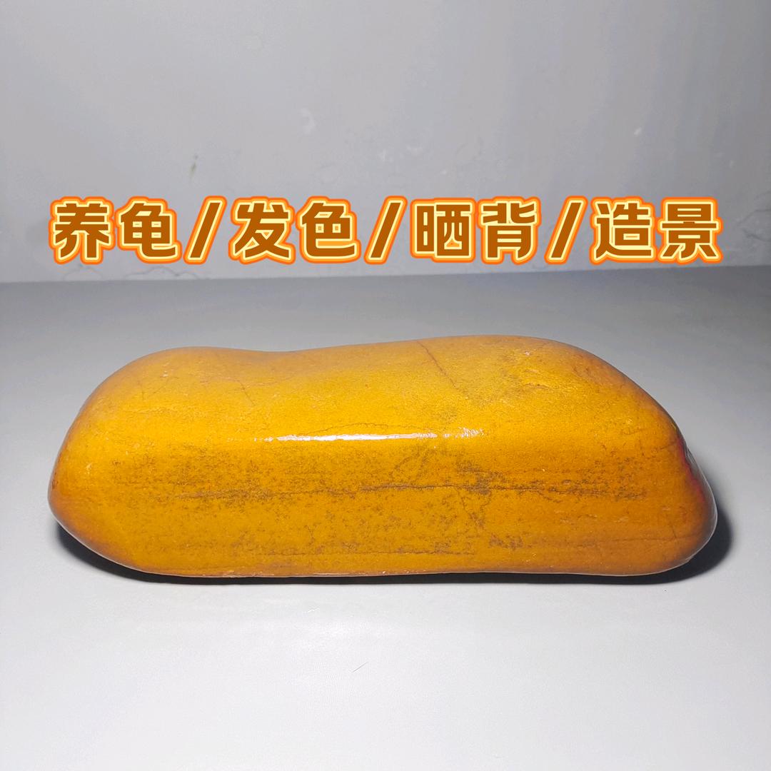 萌萌黄蜡石乌龟晒台