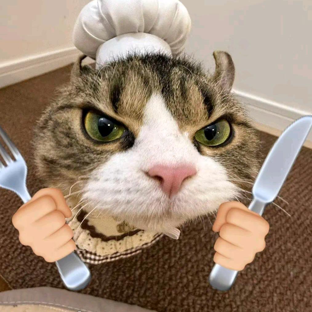 猫猫宅急便