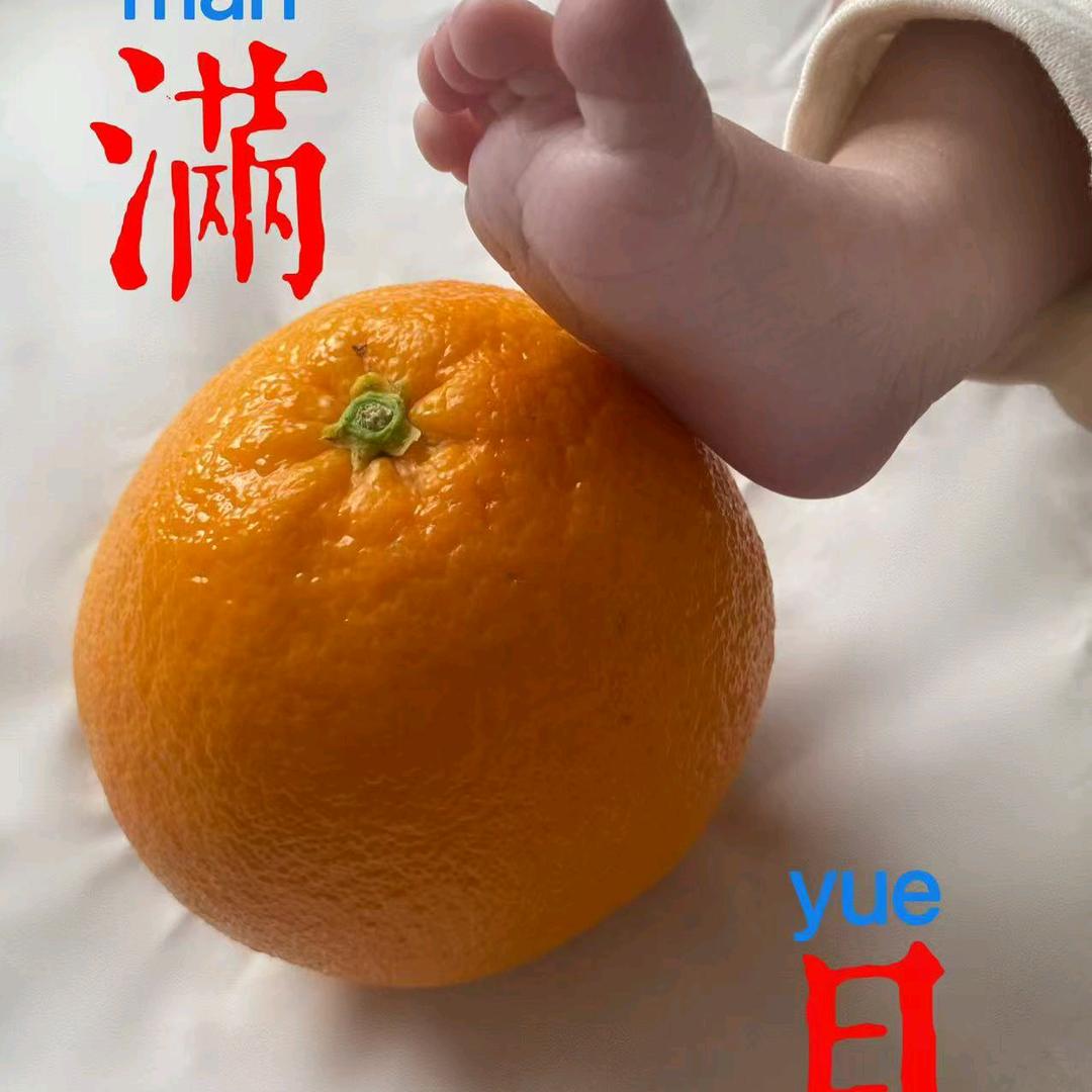 L,,,