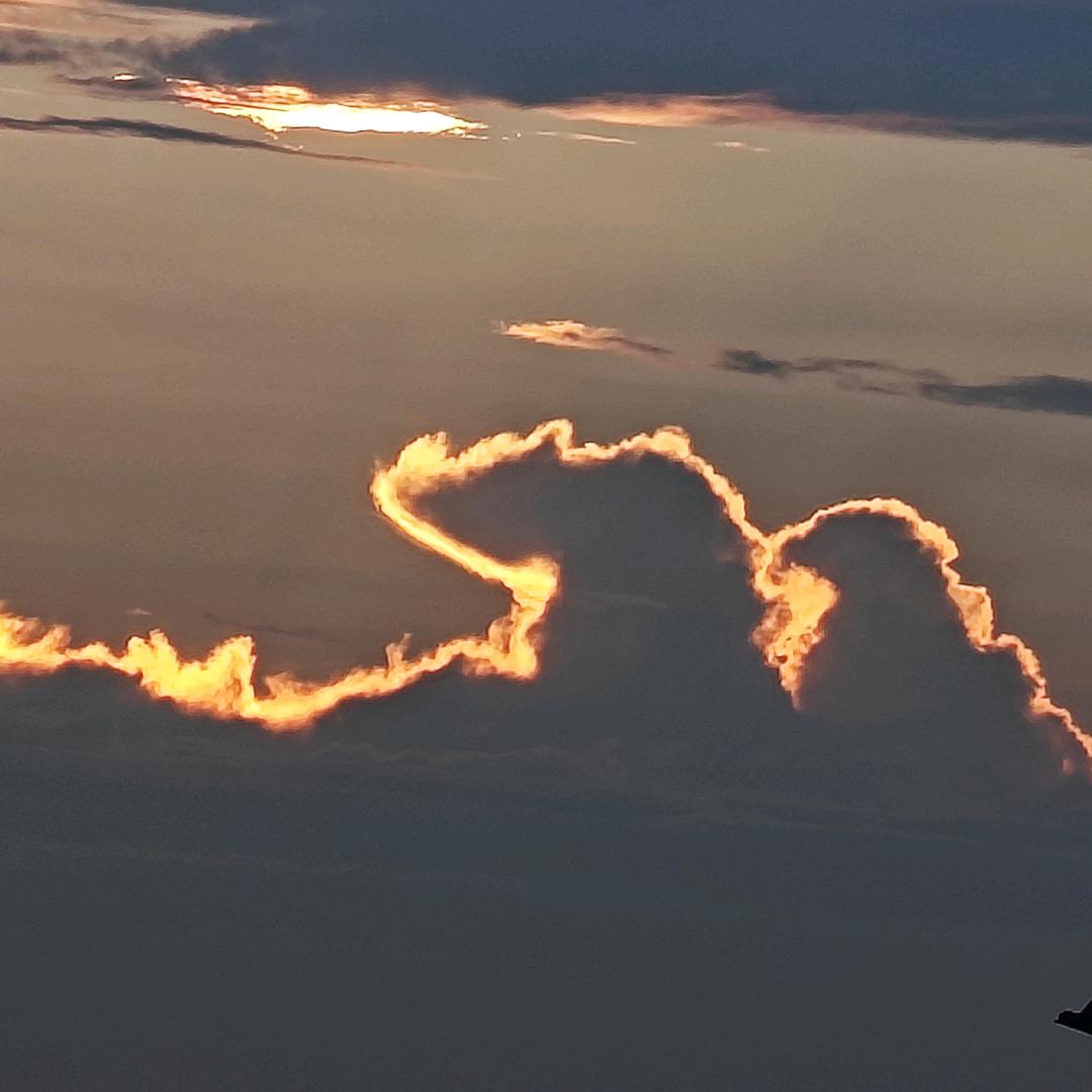 栖霞羿众