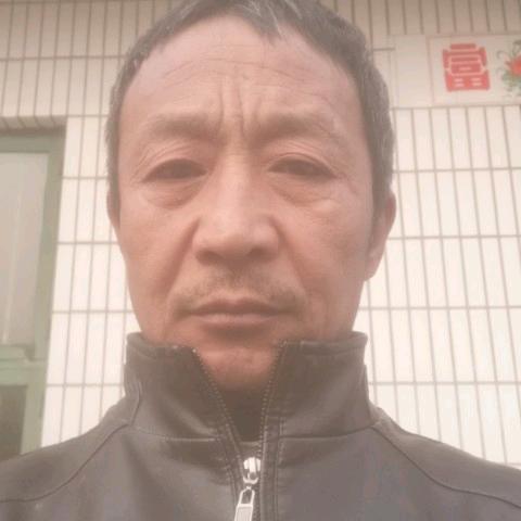 真爱688