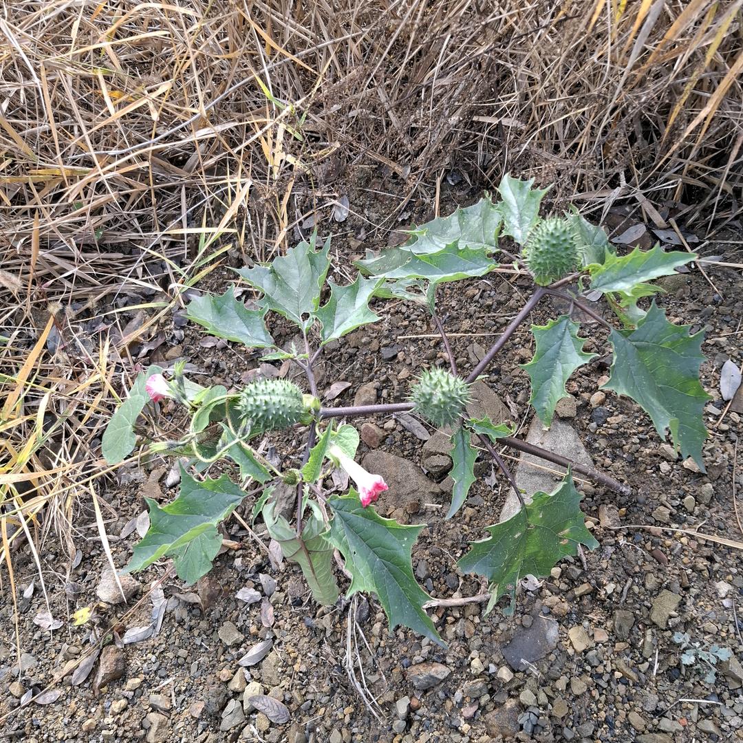 小郭一生珍重,一世不变