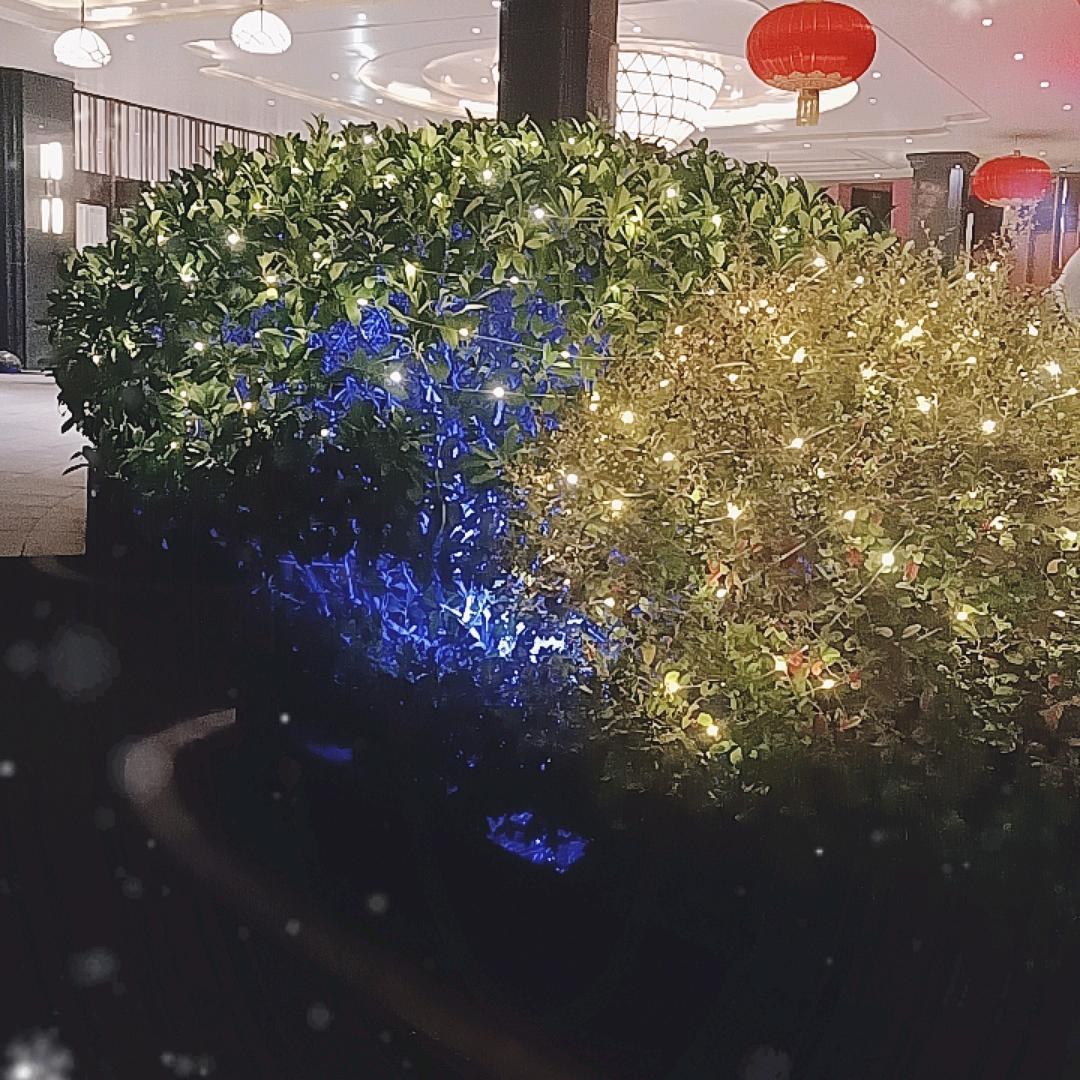 坦坦荡荡