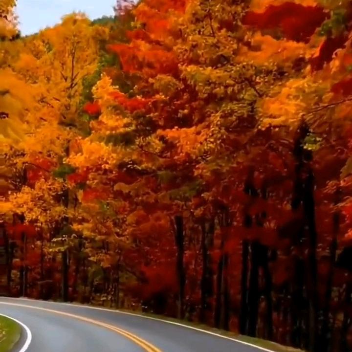 nazar游戏分享(同款游戏请看主页)