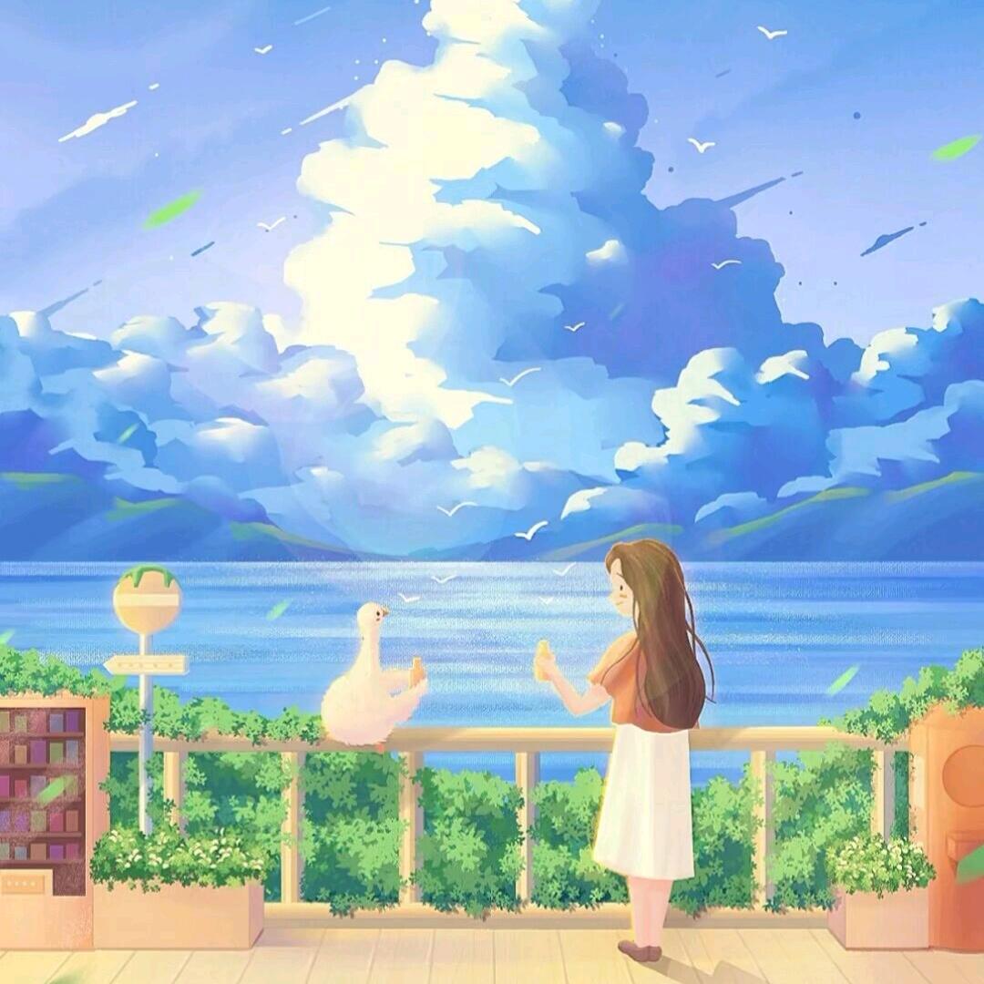 旧巷子里的猫