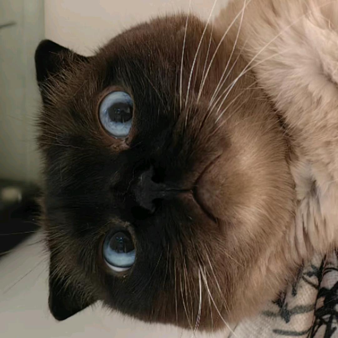 在那长江大桥下