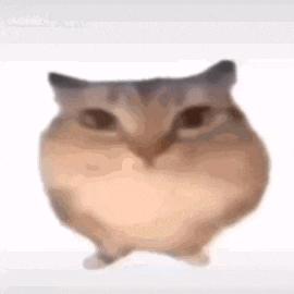 巴巴波一