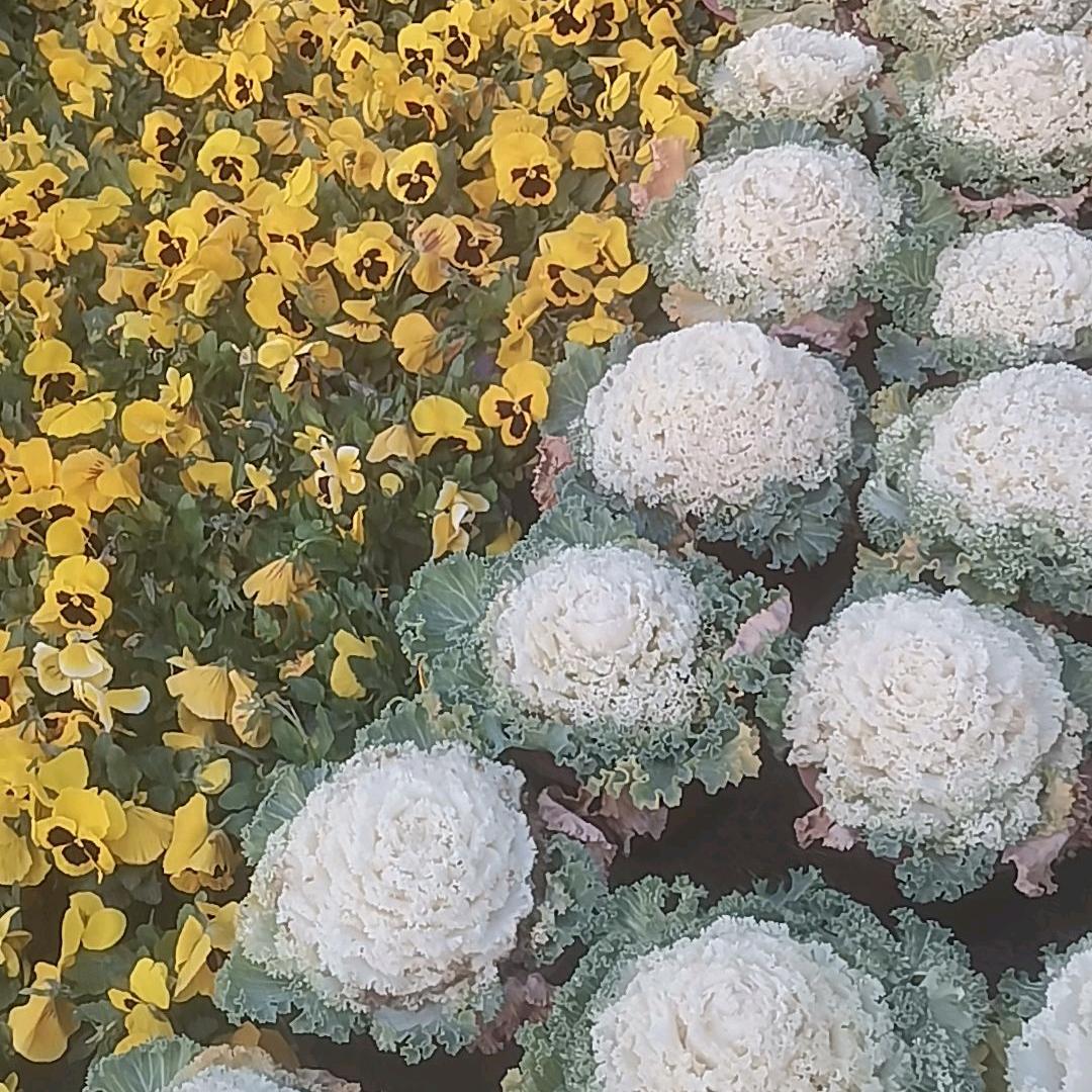 散不尽过往