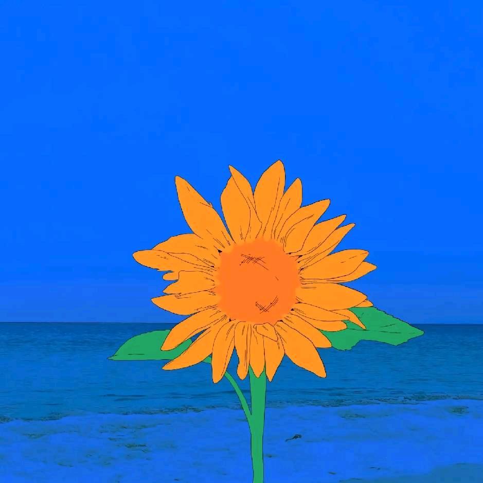 輕珹