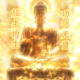 莲池海会音