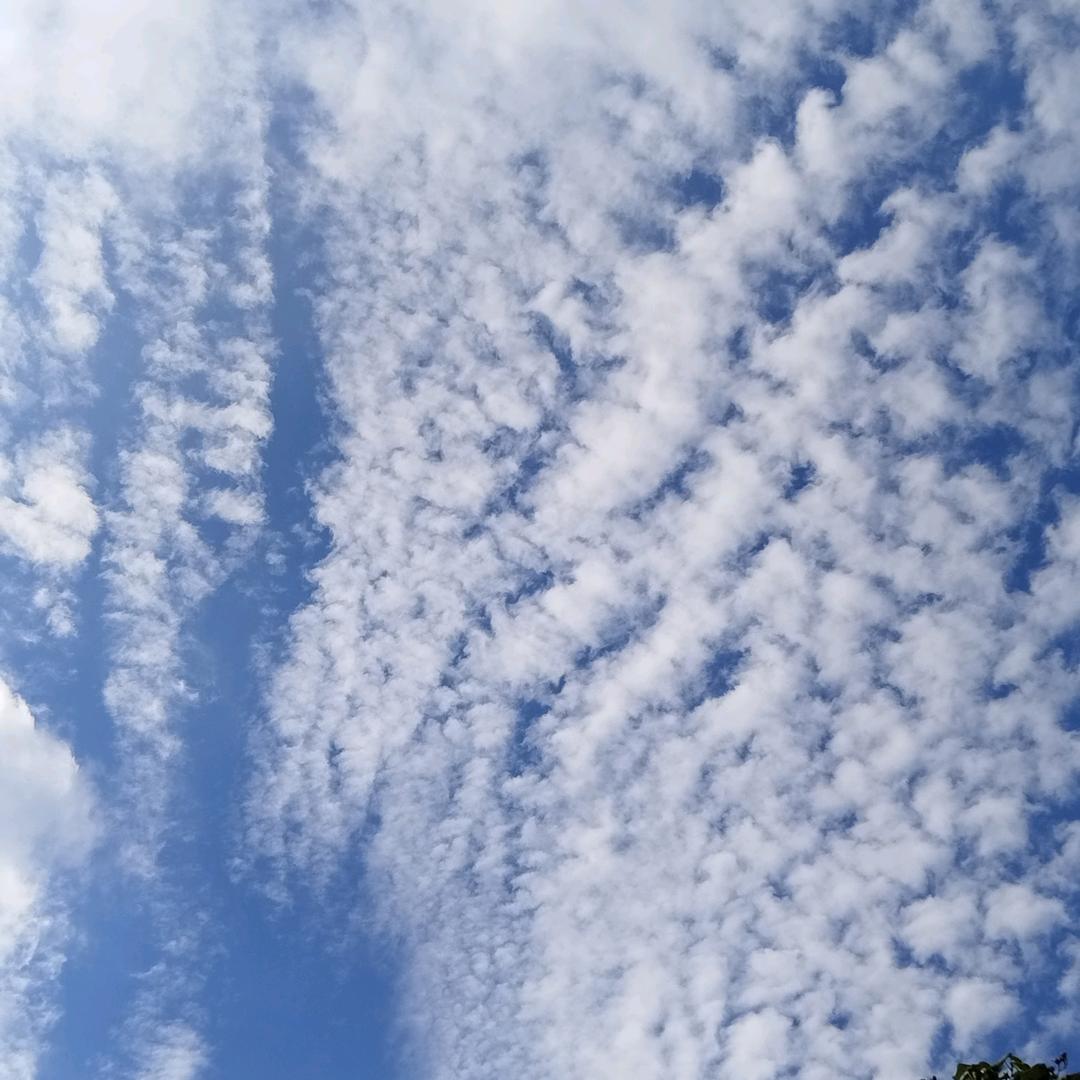 冰冰好物