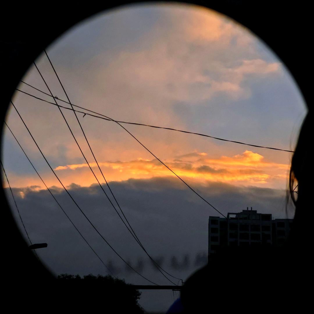 青 山📷（约拍版）
